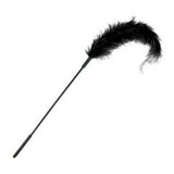 Autruche Chatouilleuse Sportsheets