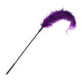 Autruche Chatouilleuse Sportsheets