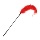 Autruche Chatouilleuse Sportsheets