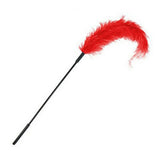 Autruche Chatouilleuse Sportsheets