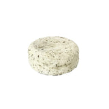 Champoing Solide The Organic Republic Cheveux gras (70 g)