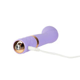 Vibrateur Point G Pillow Talk Sassy (19,8 cm)