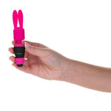 Accessoire Palmpower Extended