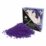 Les trésors de la mer Shunga 9066020 Fruits Exotiques (75 g)