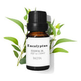 Huile Essentielle Daffoil Aceite Esencial Eucalyptus