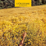 Deodorante Roll-on L'occitane Roll-On (50 ml)