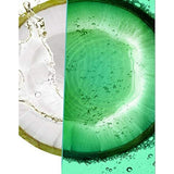 Shampooing Fortifiant Garnier Fructis Pure Fresh Eau de Coco (300 ml)