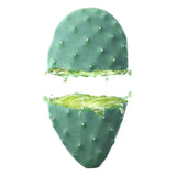 Lotion facile hydratante Cactus Opuntia 24h Weleda (30 ml)