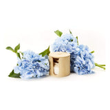 Set démaquillant Stylideas Stylpro Coton Bambou Réutilisable (10 pcs)