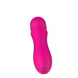 Baguette de Massage Nalone Rockit Rose