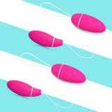 Boules d'Orgasme Intimina KegelSmart