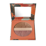 Maquillage en poudre Deborah Maxi Terra 22 Nº 2