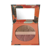 Maquillage en poudre Deborah Maxi Terra 22 Nº 3