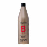 Après-shampooing Balsam With Protein Salerm (250 ml)