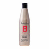 Après-shampooing Balsam With Protein Salerm (250 ml)