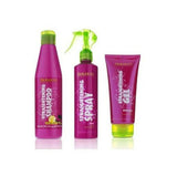 Shampooing lissant Salerm (250 ml)