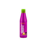 Shampooing lissant Salerm (250 ml)