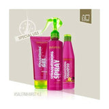 Shampooing lissant Salerm (250 ml)