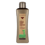 Shampooing revitalisant Biokera Arganology Salerm Huile d'Argan (300 ml)