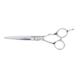 Ciseaux pour cheveux Neostar Eurostil CORTE MICRODENTADA 6