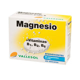 Magnésium Vallesol (24 uds)