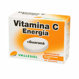 Supplément Alimentaire Vallesol Vitamina C Vitamine C Guarana (24 uds)