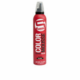 Mousse Fixative Postquam Argenté Réactivateur de Couleur (300 ml)