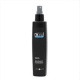 Spray de Coiffage Nirvel Styling Nidyl Direccional (250 ml)