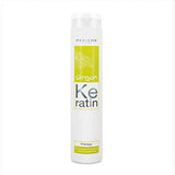 Crème stylisant Periche  Argan Keratin Therapy (250 ml)