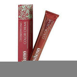 Teinture permanente Color Creme Exitenn Color Creme Nº 9,1 Light Ash Blonde (60 ml)