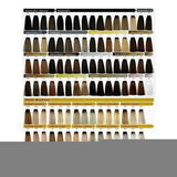 Teinture permanente Color Creme Exitenn (60 ml)