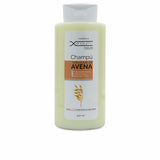 Shampooing à Utilisation Quotidienne Xensium Xensium Avoine 500 ml