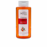 Shampooing antipelliculaire Xensium Xensium Capucine 500 ml
