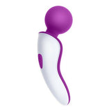 Masseur S Pleasures Snug Wand