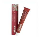 Teinture permanente Color Creme Exitenn Nº 11/0 07 (60 ml)