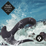 Vibrateur Anal Cassini Noir Jamba FeelzToys