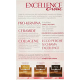 Gel exhausteur de couleur L'Oréal Paris Excellence (Reconditionné A+)