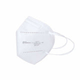 Masque Blanc FFP2 (Reconditionné A+)