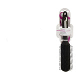 Brosse Noir Plastique (12 Unités)