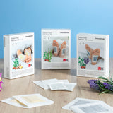 Patchs Détoxifiants pour les pieds Ginger InnovaGoods 10 Unités